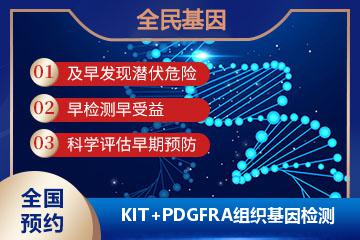 KIT+PDGFRA基因检测-组织