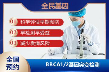 BRCA1/2基因突变检测