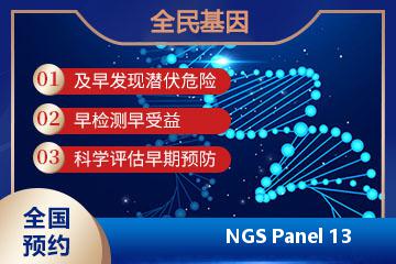 NGS Panel 13