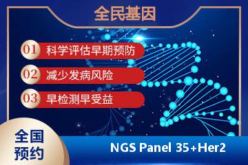 NGS Panel 35+Her2