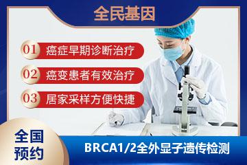 BRCA1/2全外显子遗传风险检测