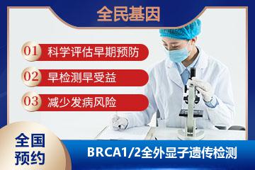 BRCA1/2全外显子遗传检测