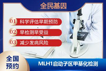 MLH1启动子区甲基化检测