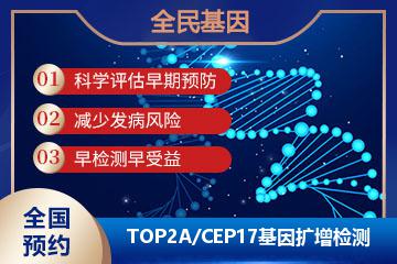 TOP2A/CEP17基因扩增检测
