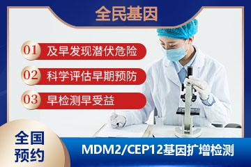 MDM2/CEP12基因扩增检测