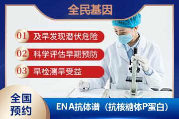 ENA抗体谱（抗核糖体P蛋白）
