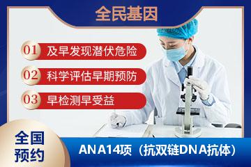 ANA14项（抗双链DNA抗体）