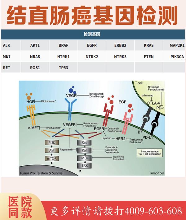 萍乡英特基因检测服务中心费用是多少钱啊